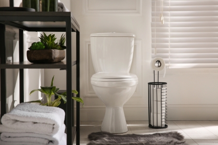 Toilet installation